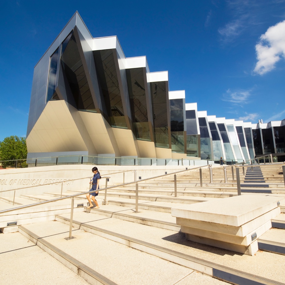 iStock_000036665374_Large iStock_000036665374_Large